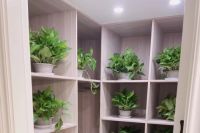 除甲醛就得靠通风。但是事实真的是这样吗?