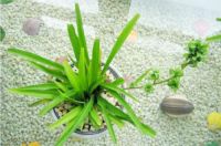 到底是自己除醛还是找治理机构?对比后你就知道怎么选择了