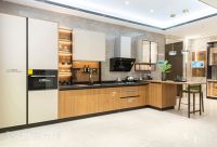 维意定制「摩根卡尔」上市，套路化厨阳还有新思路？