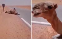 致死率可达80%，你知道热射病吗？