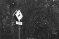 【新浪观点】2022，墙布行业还会好吗？