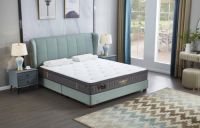 床架怎么选？东宝床垫一次帮您解决