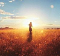 iparnassus？品牌名中的独特魅力所在