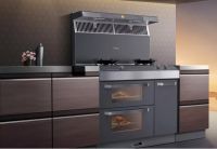 蒸烤独立集成灶刮起新风潮，各家企业都有什么“绝活”？