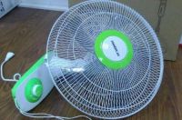 都说绿植可以净化空气,那么哪些是适合新房装修后使用呢?