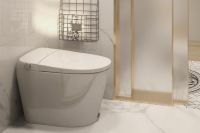 智能马桶，为什么很少人买？是不好用还是用不习惯？来听听大实话