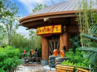 电影“名场面”如何完美复刻?来北京环球影城感受华艺制造