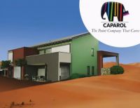 德国进口涂料品牌德爱威 为什么受到国人热捧?