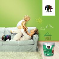 德国进口涂料品牌德爱威 为什么受到国人热捧?