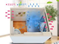 “快餐式“ 除醛治标不治本,除醛如何长久有效?