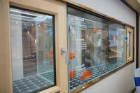 门窗行业未来如何发展？墨瑟门窗新店诠释发展新理念