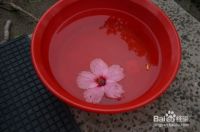 装修除甲醛谣言榜发布 你中招了吗？