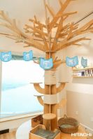 秋来冬将至，毛孩儿怕冷，怎么解？