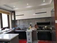 “双11”最值得入手的集成灶为什么是火星人？让我们听听用户怎么说