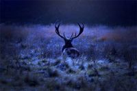 【观察者·2021世界软装大会系列】墙布还是一门好生意吗？