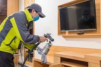 太好了！亲测有效的除醛好物，你都用过哪几种？