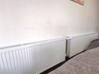 从了解到下单，不到１周天就用上的舒适猫暖气，居然是这样的？