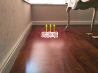 明明踢脚暖比地暖升温快，为什么没有普及？无非是因为这4点