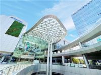 裸眼3D是个啥?来首位赏进博