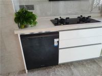 想装洗碗机却嵌入不了橱柜？卡萨帝换道场景成用户首选