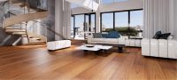 三层实木地板市场走向如何?圣象康逸大动作、大产品引领未来!