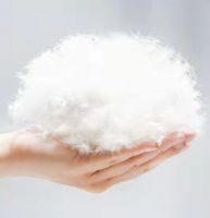 睡不着睡不好？水星家纺鹅绒被让你一觉到天亮