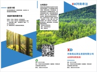 车辆报废不正规，会带来什么危害？听听河南希达再生资源有限公司负责人怎么说！