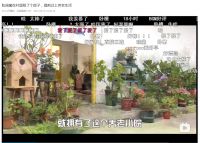 买不起房的年轻人为何迷上房屋改造？