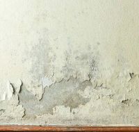 雨雨雨雨一直下！墙面发霉怎么办？