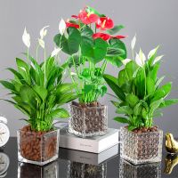 新房“憋几天”再开窗通风 这样除甲醛的效果真得好吗？