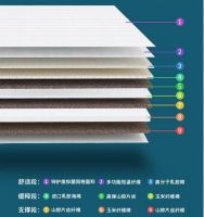 为什么中国冰雪健儿选择大自然运动床垫？