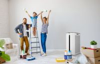 泰拉蒙这个品牌怎么样？除甲醛有用吗？