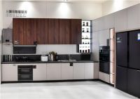 谁是最受国外用户欢迎的中国冰箱品牌？