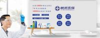 昆明五华区专业除甲醛公司选哪家？树派环保专项除甲醛治理