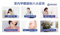 昆明五华区专业除甲醛公司选哪家？树派环保专项除甲醛治理