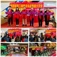 取得业绩逆势增长的成绩，蜜月岛家私做对了什么？