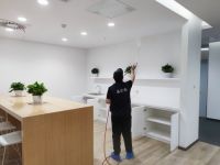 市面上除甲醛产品真的有效吗，泰伦斯分解触媒产品给你答案！