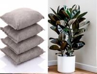 通风、绿植以及炭包等这些真的有用吗？听专业人士给你讲