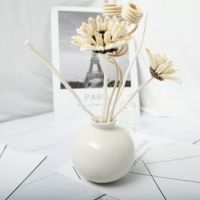 通风、绿植以及炭包等这些真的有用吗？听专业人士给你讲