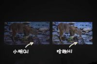 什么投影仪最适合女孩子？哈趣投影H1和知麻M1谁更好用？