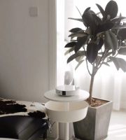 春节怎么过？坚果G9S音画双优，领略不一样的阖家快乐