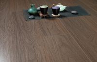 冬奥会郭丹超燃  代言的升达地板到底怎么样？