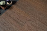 冬奥会郭丹超燃  代言的升达地板到底怎么样？