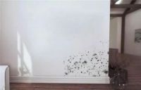 超强科研实力！德高防潮防霉腻子的专利技术，有多硬核？（下）