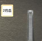 炫彩到底有啥“圈粉”大招？