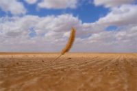 【观察者】把艺术涂料骂的一文不值的墙布企业，竟也开始悄然进场？