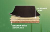 如何选择真正的环保的定制家居？太子家居定制绿色环保从源头抓起