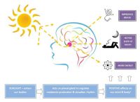 关于买灯的这些误区，看看你中了几个？