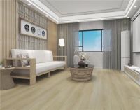 大自然行家说：如何为消费者健康生活赋能？