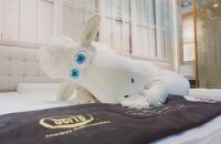 想要高质量睡眠？不妨关注舒达“惊折第七季”双总裁感恩直播夜